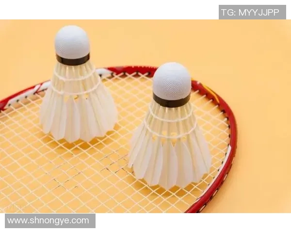 羽毛球装备选购指南：必备训练器材推荐与使用技巧分享