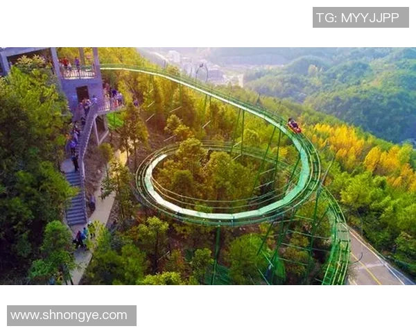 重庆极限运动队如何通过区域防守革新提升竞技水平与团队协作能力